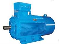  三相異步電動機(jī) 變頻調(diào)速三相異步電動機(jī)  變頻調(diào)速電動機(jī) 